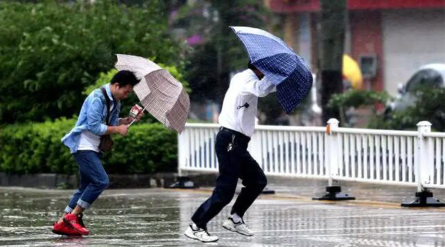 9號臺風(fēng)“馬鞍”生成！金環(huán)電器提醒大家要注意的事項