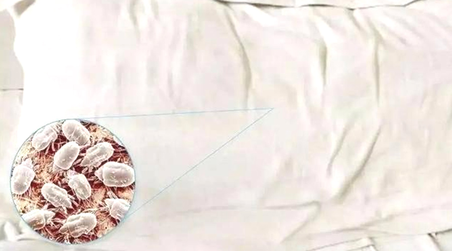 用戶(hù)關(guān)注：塵螨過(guò)敏者有必要使用滾筒衣服烘干機嗎