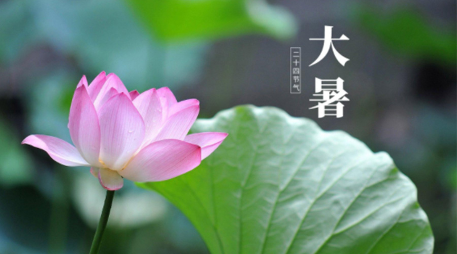 大暑時(shí)節！金環(huán)電器提醒大家注意這些干衣細節