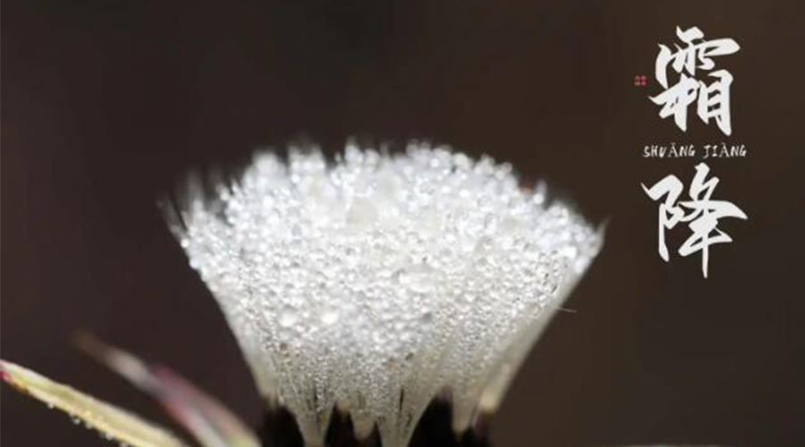 霜降時(shí)節！金環(huán)電器提醒大家要注意的事項