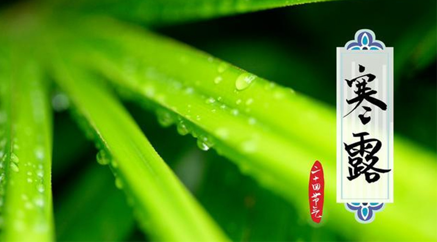 寒露時(shí)節到！金環(huán)電器提醒這些干衣事項要注意