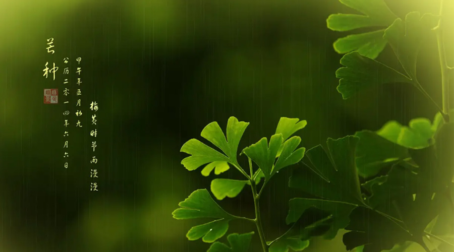 芒種時(shí)節！金環(huán)電器提醒大家的注意事項