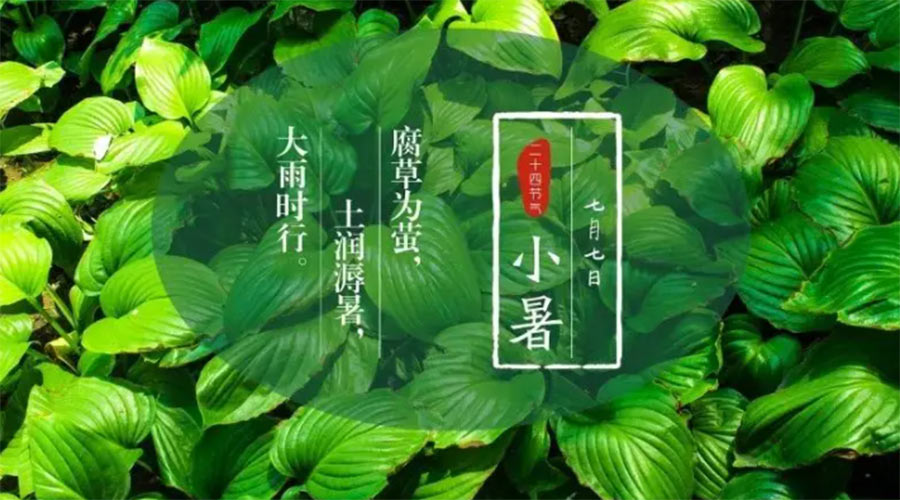 小暑時(shí)節來(lái)到！金環(huán)電器提醒大家要注意的事項