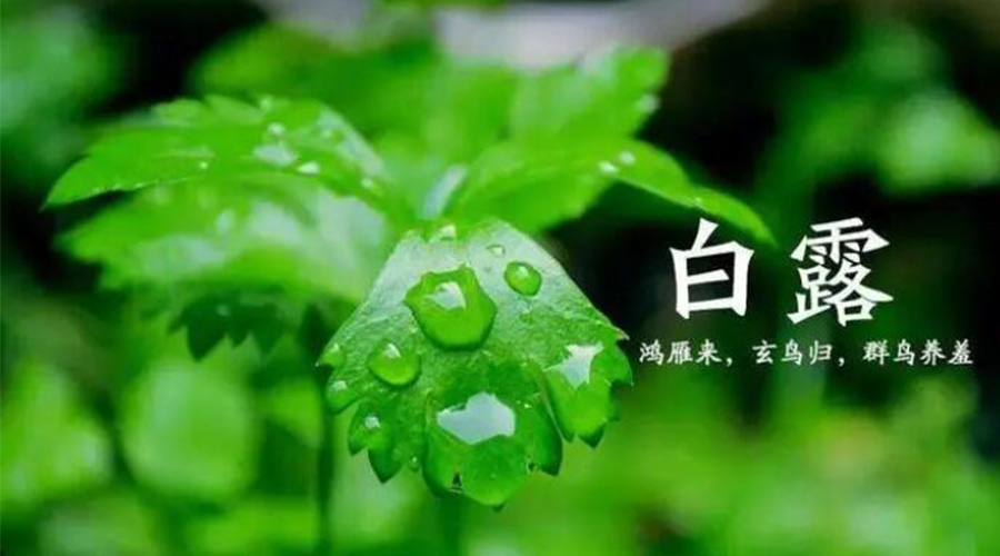 白露時(shí)節！金環(huán)電器提醒大家要注意的事項