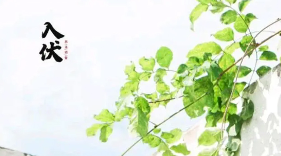 初伏時(shí)節！金環(huán)電器提醒大家要注意的事項