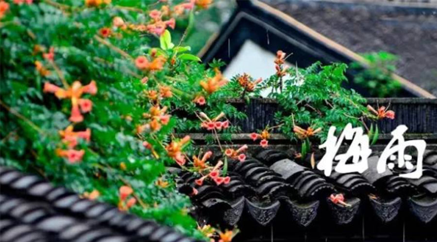 什么是梅雨？梅雨如何形成？  金環(huán)電器告訴你答案